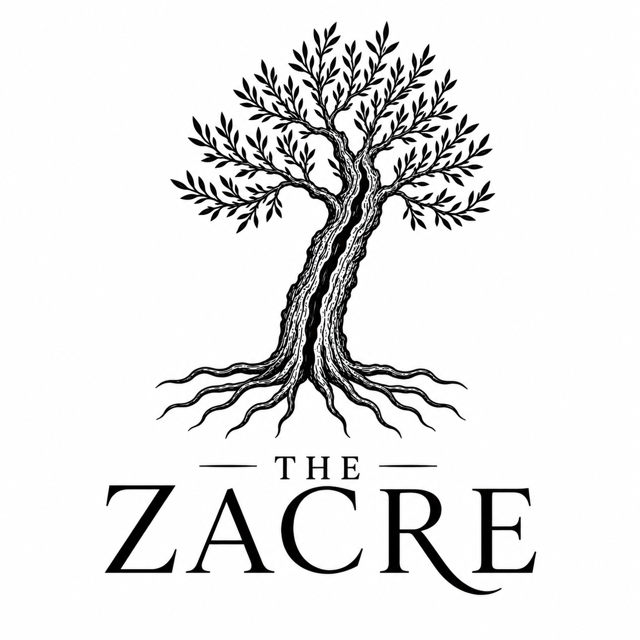 THE ZACRE